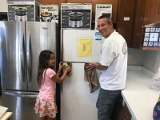 TAO Dojo clean up 2018_6791